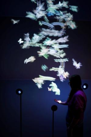 DSC_credit_andrewmeredith (3) comprimido